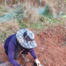 금량농장 이미지