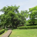 광양읍 유당공원 이미지