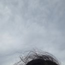 세븐일레븐 동해효가스타점 | 강원도 동해 1박 2일 여행 : 대진해수욕장, 서퍼랑, 어달해변포차, 산호한식뷔페막국수, 동그라미해물집
