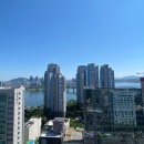 더오키드청담