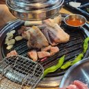 씅난돼지 - 진주시 초전북로61번길 25-8 | 씅난돼지