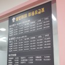 셀럽퍼피 이미지