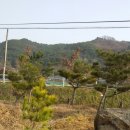 원지농원 이미지