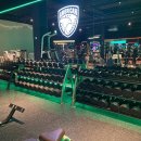 에스휘트니스 이미지