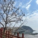 천호1동공영주차장 화장실 | 들어가는 섬.바다보며 걷는 트레킹코스👍 인천 가볼만한곳 추천.서울근교여행.소무의도 공영주차장 이용후기