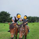 초원카페 이미지