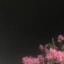 슈가캔디스튜디오