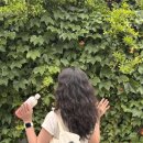 중1동-1 | [국내/부산] 2025 부산 광안리 나이트런을 위한 1박 2일 부산여행 (2)
