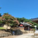 덕천사德川祠 네이버블로그