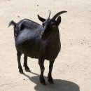 정성건강원 이미지