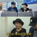 사미자 카카오 검색결과