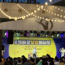 여름밤 분위기 최고, 부여 백마강 달밤야시장 방문기 | 맥주 한잔 생각나는 야시장 안주들🍺