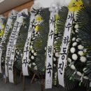 현철유지 이미지