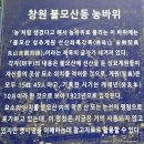 선산(창원) 티스토리