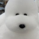펫아카데미경남학원 네이버블로그