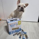 허니펫 | 펫퍼스 트윙클츄 디스펜서 강아지덴탈껌 SS초소형 후기