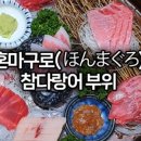 우아한참치