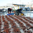 중부-현장-중부-787 이미지