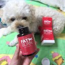 팻번 | 강아지 가수분해 연어 영양제 알루펫 팻번