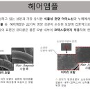 옻안타는천연염색화서점 네이버블로그