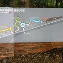 울산 아이와 가볼만 한 곳, 태화강 동굴피아