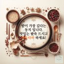 동지 이미지