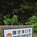 지리산다방 | 🌿 하동 가볼 만한 곳: 한 폭의 그림 같은 녹차밭 '매암제다원' 방문 후기