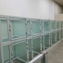 개팔상팔 이미지