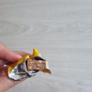 호키포키 티스토리