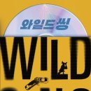 와일드씽 등장인물 관계도 후기, 오정세X신하균 특급케미 폭발!
