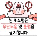 부오나피자삼척점 이미지