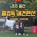 웰컴독 애견펜션 이미지