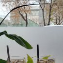 위너인셀덤