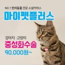 마이펫 동물병원 이미지