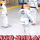 태권사랑 태권도장 이미지