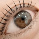 라모드헤어 이미지