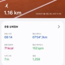 파스타회관