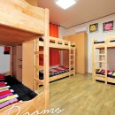 자라섬게스트 하우스 이미지