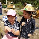 초록놀이터 이미지