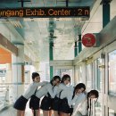 이끌림 뉴시스