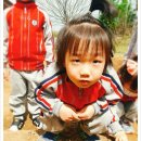 남포농장 이미지