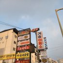 꿀닭 | 송정동 닭강정 맛집 옥은주의 꿀닭 포장 후기