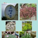 소망의집 이미지