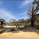 영주 소수서원 이미지