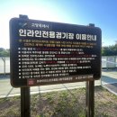지도인라인경기장 티스토리