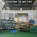 지와이글로벌 이미지