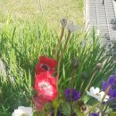 목향 한정식 이미지