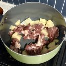 GR(가평군)-[청군로]-상-40 | 가평애견동반풀빌라 반려견펜션 비비숑숑 견주들이 좋아할수밖에