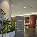 [제주 여행] &#34;메종글래드 제주&#34;, 제주시내 숙소 추천, 스탠다드 더블룸 객실 후기