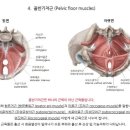 라잇나우짐 이미지